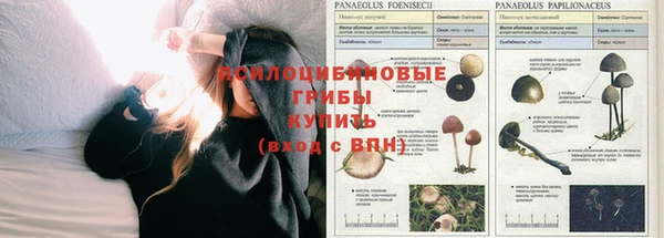 прущая мука Краснотурьинск