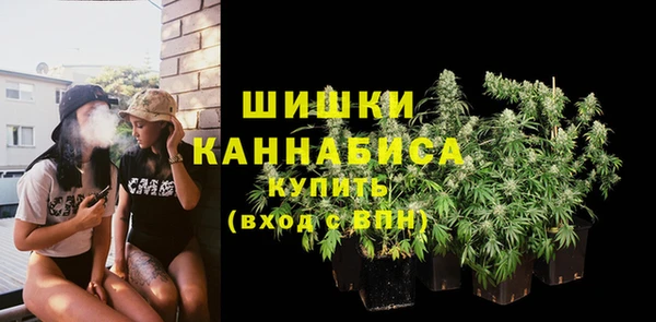 ECSTASY Костерёво