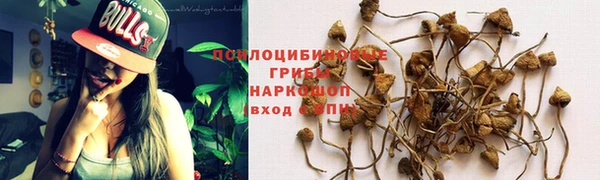 прущая мука Краснотурьинск